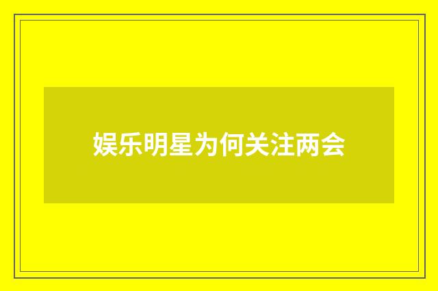 娱乐明星为何关注两会