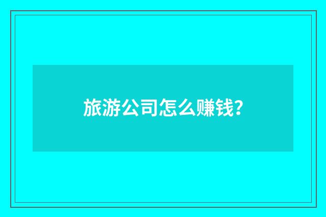 旅游公司怎么赚钱？