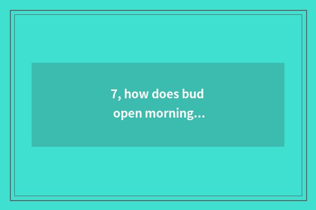 7, how does bud open morning island newly?