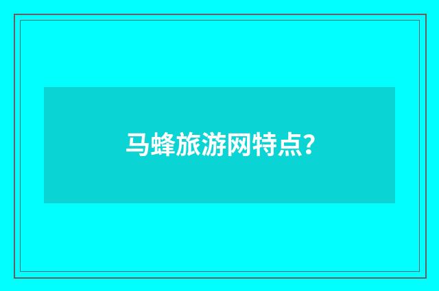 马蜂旅游网特点?