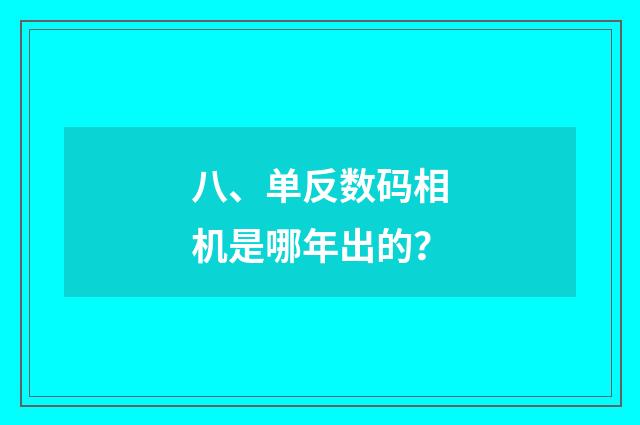 八、单反数码相机是哪年出的?