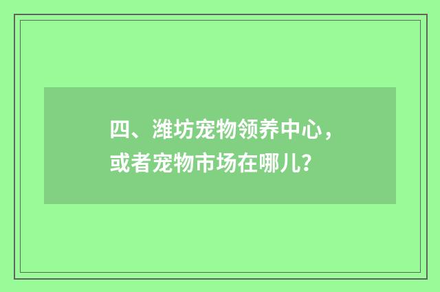 四、潍坊宠物领养中心，或者宠物市场在哪儿？