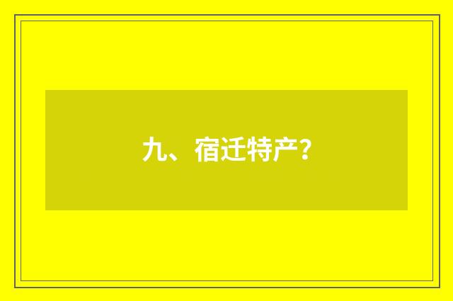 九、宿迁特产?