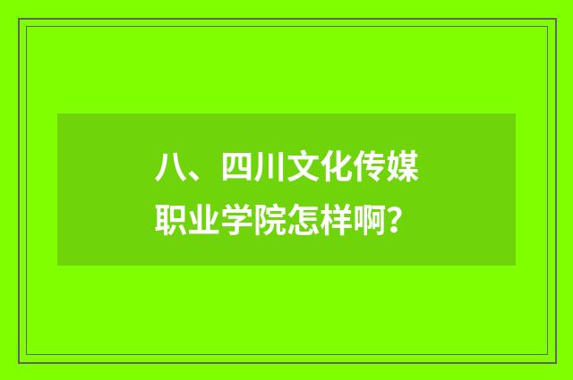 八、四川文化传媒职业学院怎样啊？
