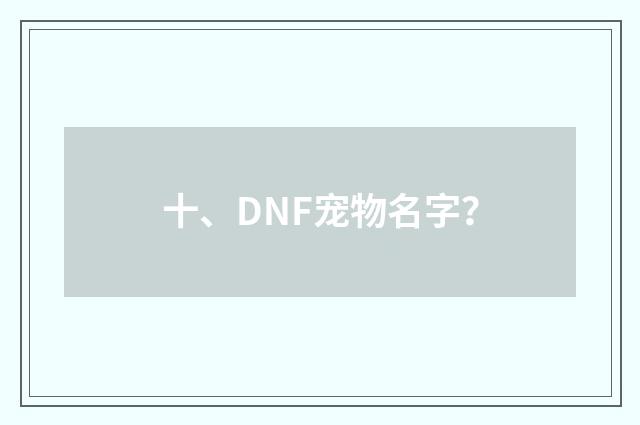 十、DNF宠物名字？
