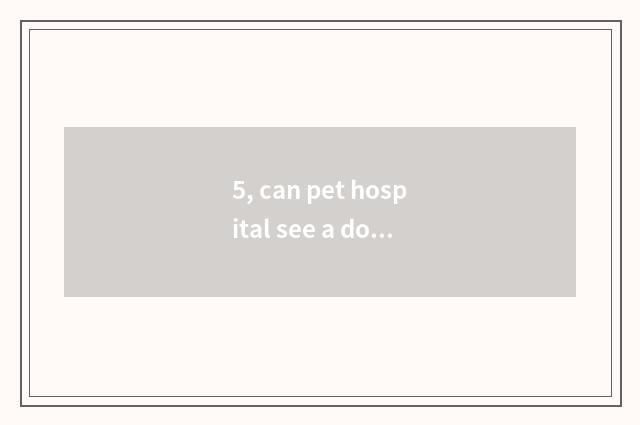 5, can pet hospital see a doctor to the tortoise?