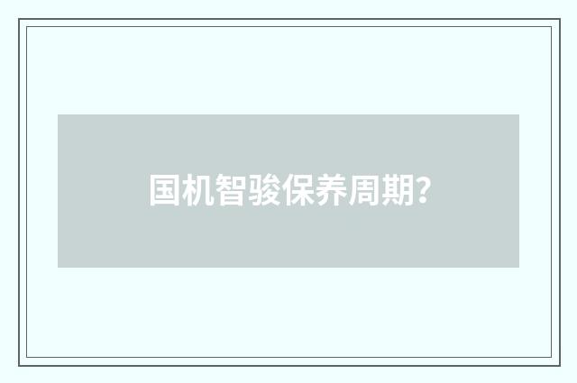 国机智骏保养周期?