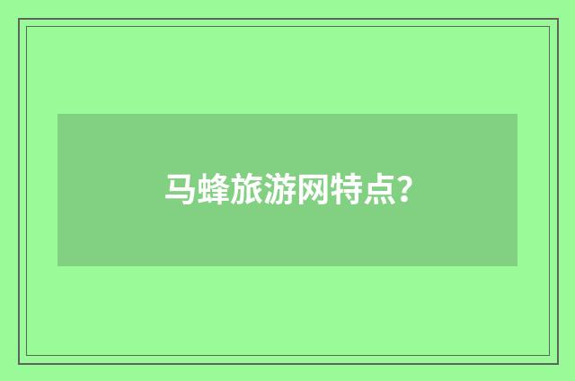 马蜂旅游网特点?