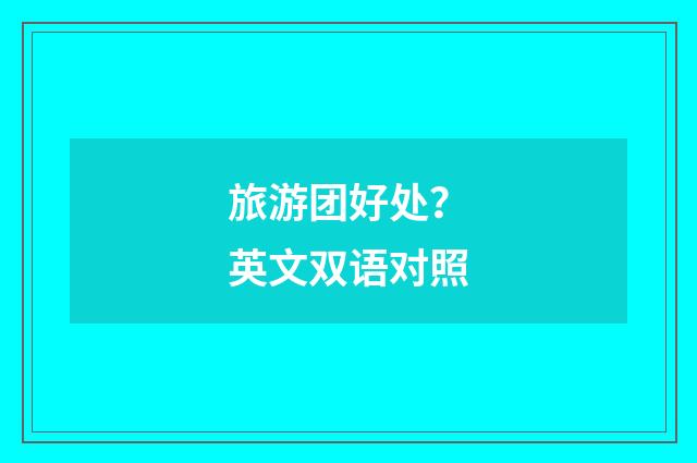 旅游团好处？英文双语对照