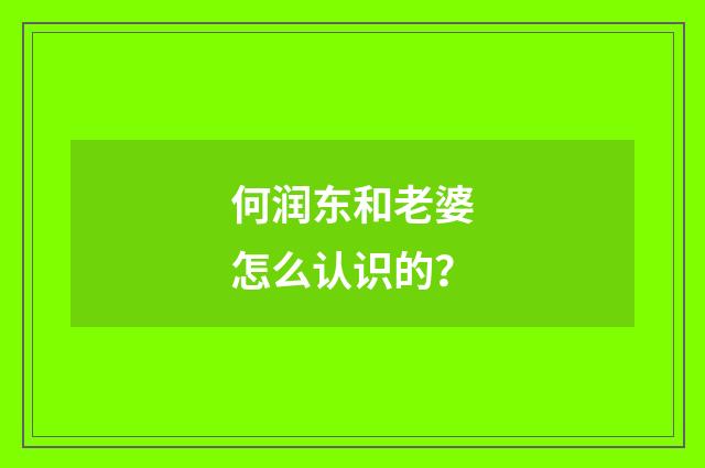 何润东和老婆怎么认识的？