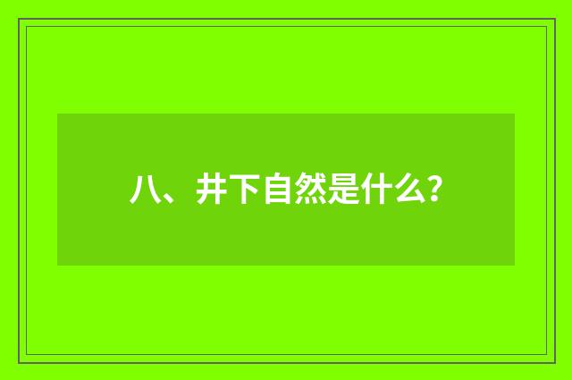 八、井下自然是什么？