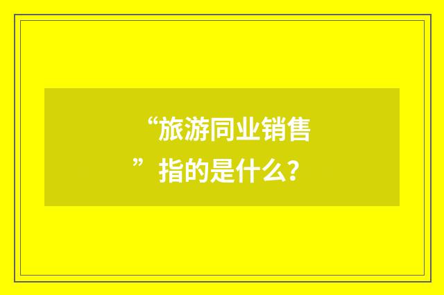 “旅游同业销售”指的是什么？