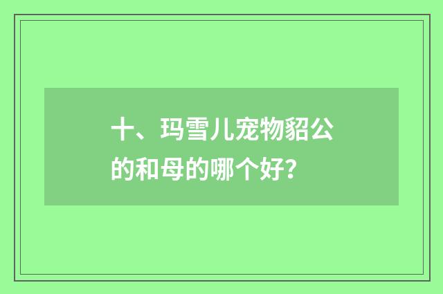 十、玛雪儿宠物貂公的和母的哪个好?