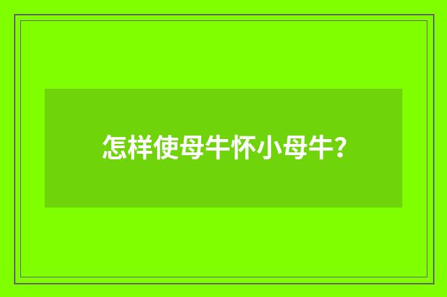 怎样使母牛怀小母牛?