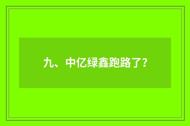 九、中亿绿鑫跑路了?