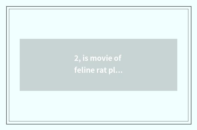 2, is movie of feline rat play analytic?