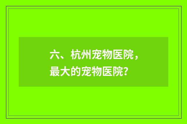 六、杭州宠物医院,最大的宠物医院?