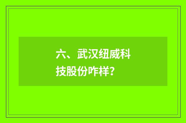 六、武汉纽威科技股份咋样?