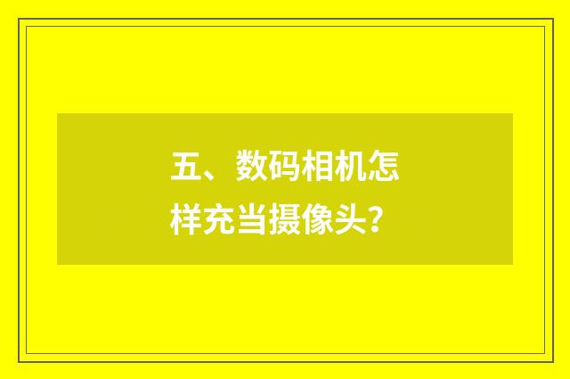 五、数码相机怎样充当摄像头？