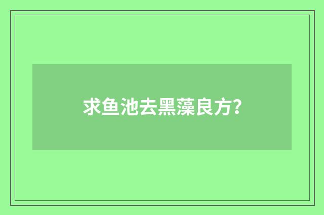 求鱼池去黑藻良方?