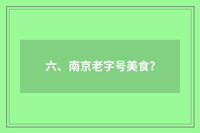 六、南京老字号美食？