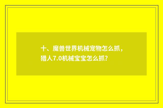 十、魔兽世界机械宠物怎么抓,猎人7.0机械宝宝怎么抓?