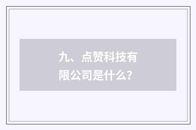九、点赞科技有限公司是什么?