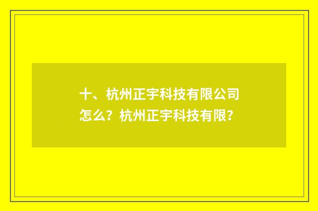 十、杭州正宇科技有限公司怎么?杭州正宇科技有限?