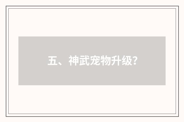 五、神武宠物升级?