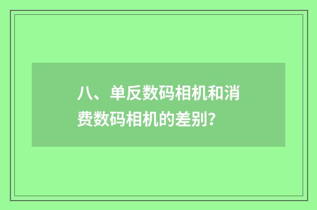 八、单反数码相机和消费数码相机的差别?