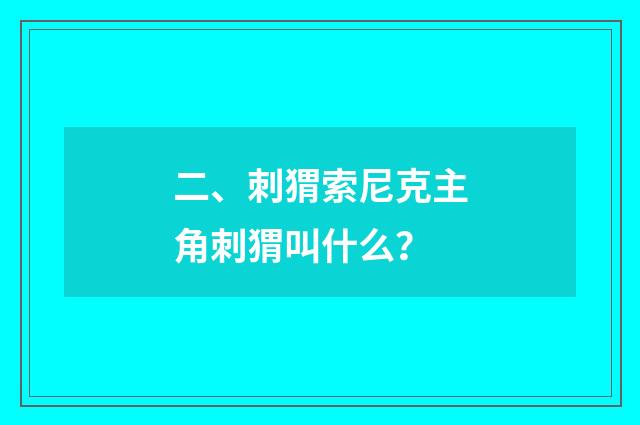 二、刺猬索尼克主角刺猬叫什么?