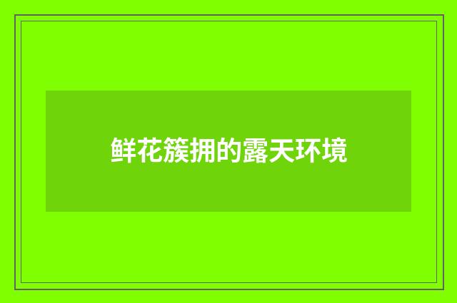 鲜花簇拥的露天环境