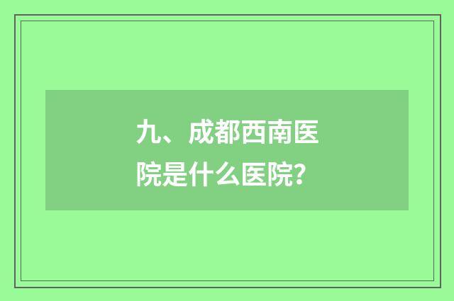 九、成都西南医院是什么医院?