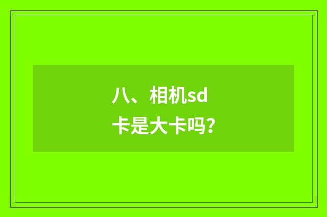 八、相机sd卡是大卡吗?
