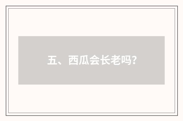五、西瓜会长老吗?