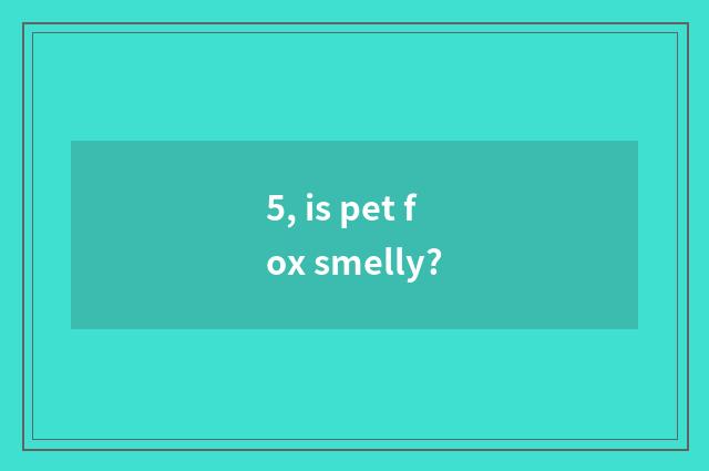5, is pet fox smelly?