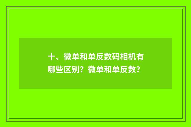 十、微单和单反数码相机有哪些区别?微单和单反数?
