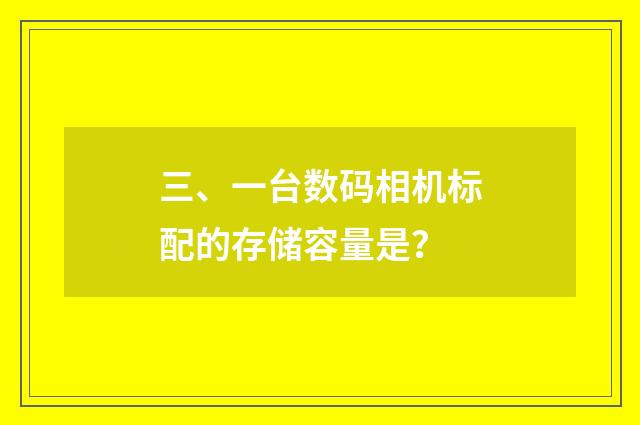 三、一台数码相机标配的存储容量是?