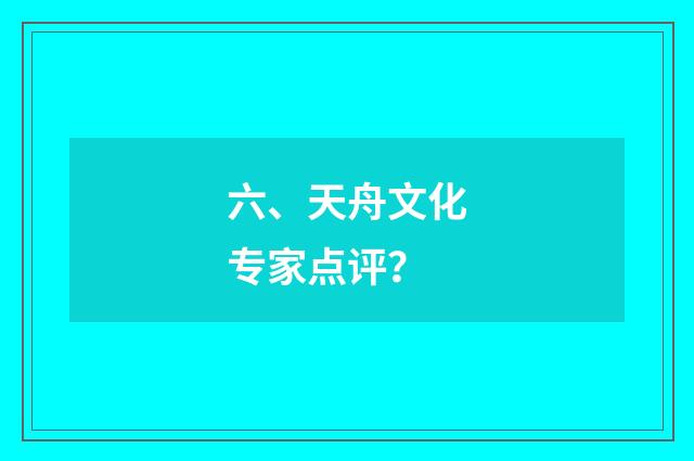 六、天舟文化专家点评?