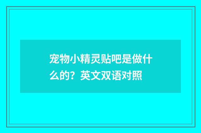 宠物小精灵贴吧是做什么的?英文双语对照