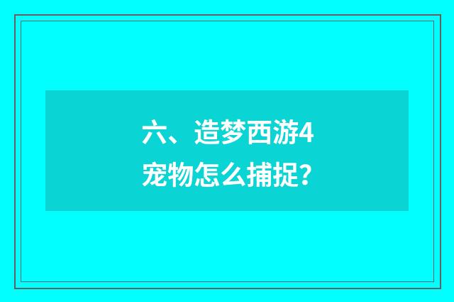 六、造梦西游4宠物怎么捕捉?