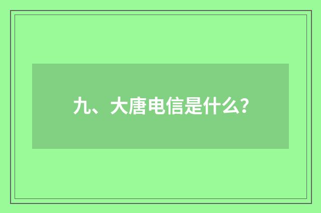九、大唐电信是什么？