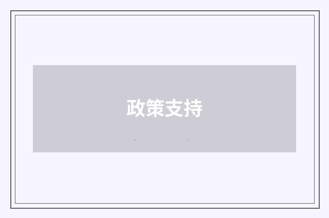 政策支持