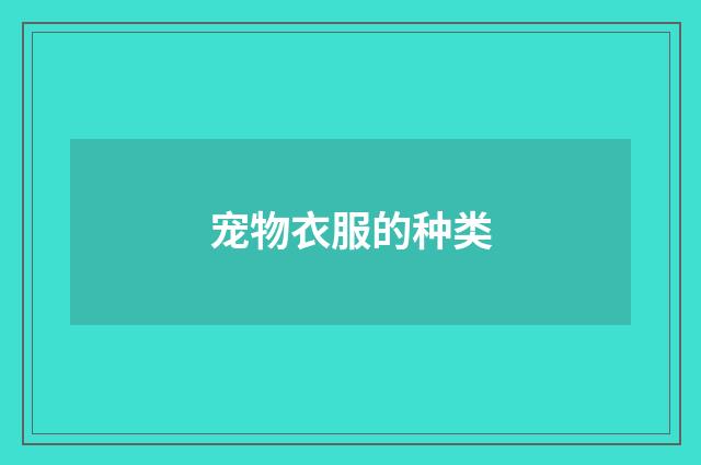 宠物衣服的种类