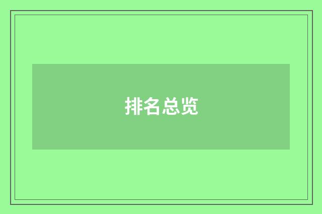 排名总览