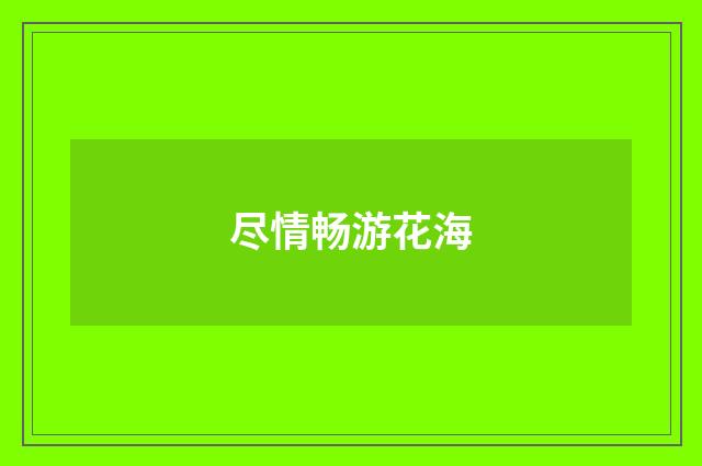尽情畅游花海