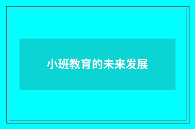 小班教育的未来发展