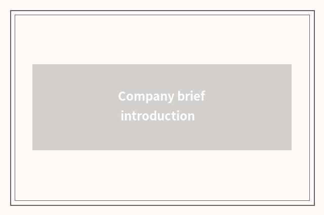 Company brief introduction