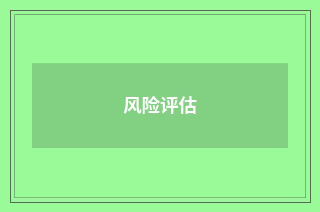 风险评估