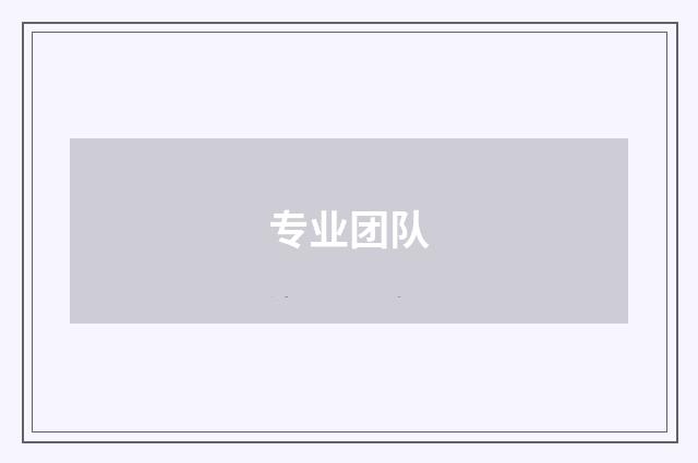 专业团队